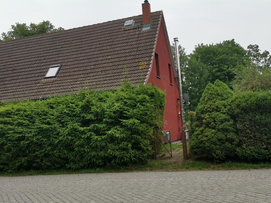 a red house with a large bush in front of it at Ferienwohnung auf Rügen ganz oben in Putgarten
