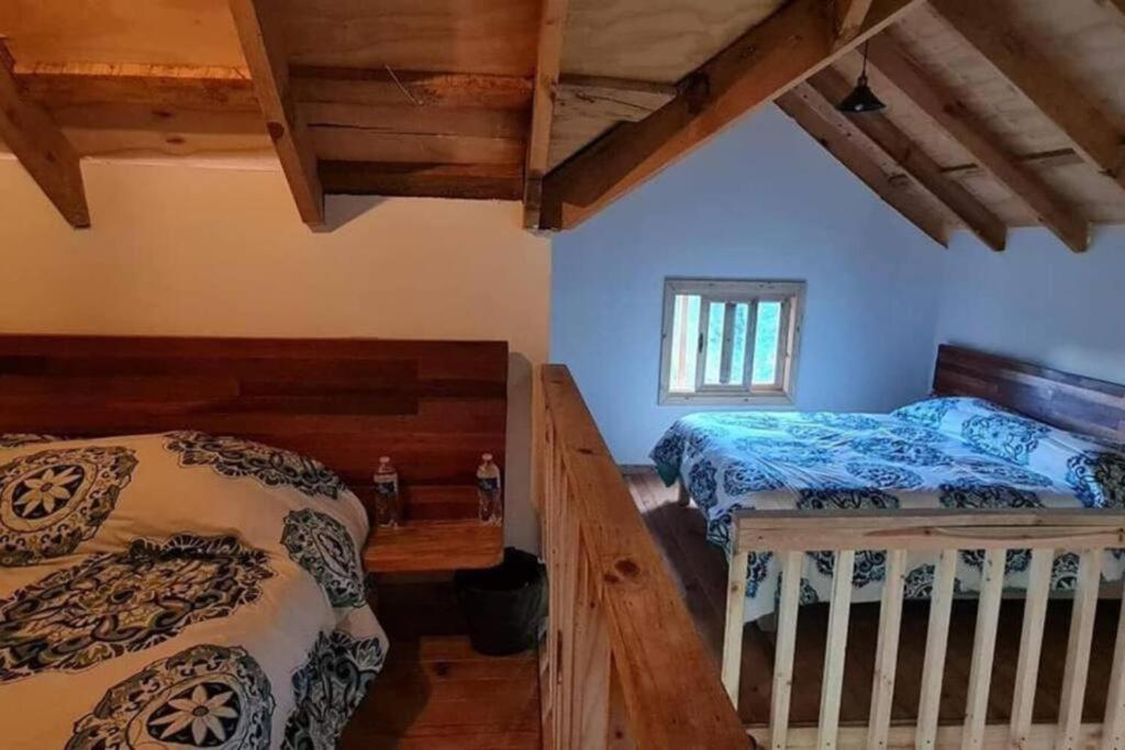 Duas camas num quarto com tectos em madeira em Colibri - Cabañas Puerto del Zopilote em Pinal de Amoles
