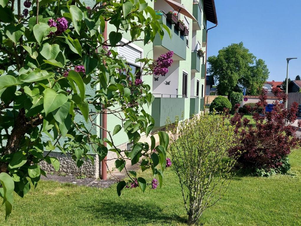 Fotografie z fotogalerie ubytování Ferienwohnung Schallinger v destinaci Teisendorf
