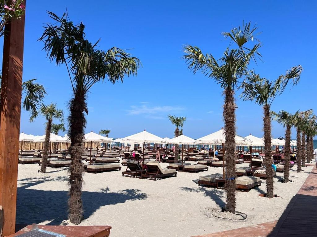 a beach with lounge chairs and palm trees and umbrellas at Mamaia Beach Condos 2 in Năvodari