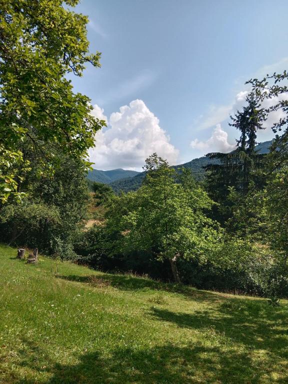 Příroda nedaleko apartmánu