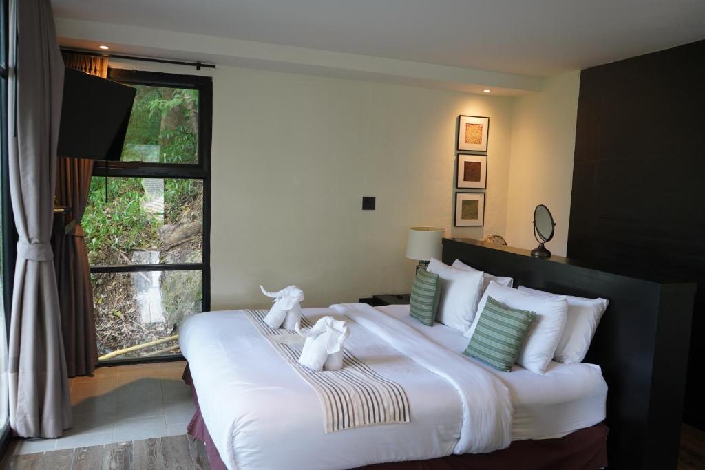 Kachonghills Tented Resort Trang - 13