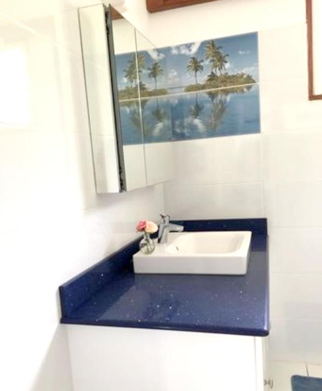 a bathroom with a sink and a mirror at Maison de 2 chambres avec vue sur la mer jardin amenage et wifi a Vieux Habitants a 2 km de la plage in Vieux-Habitants