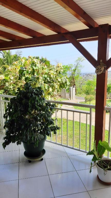 a plant in a pot sitting on a porch at Maison de 2 chambres avec vue sur la mer jardin amenage et wifi a Vieux Habitants a 2 km de la plage in Vieux-Habitants