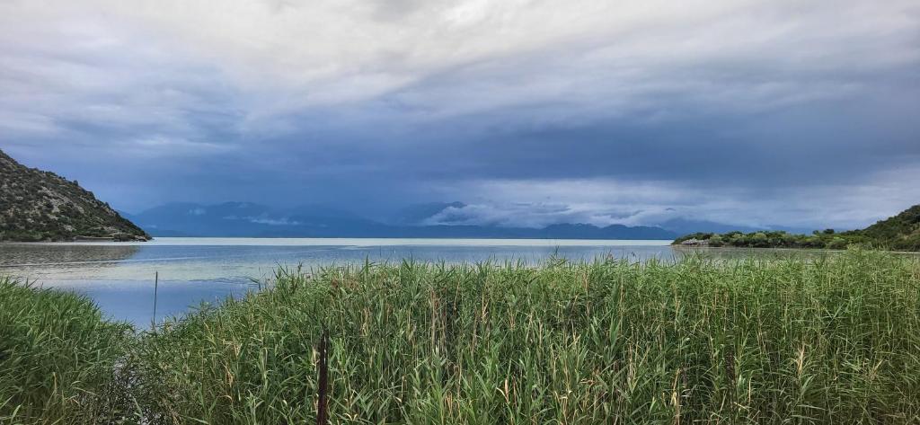 a large body of water with grass in the foreground at Apartment Lake Oasis ''Oko'' in Krnjice