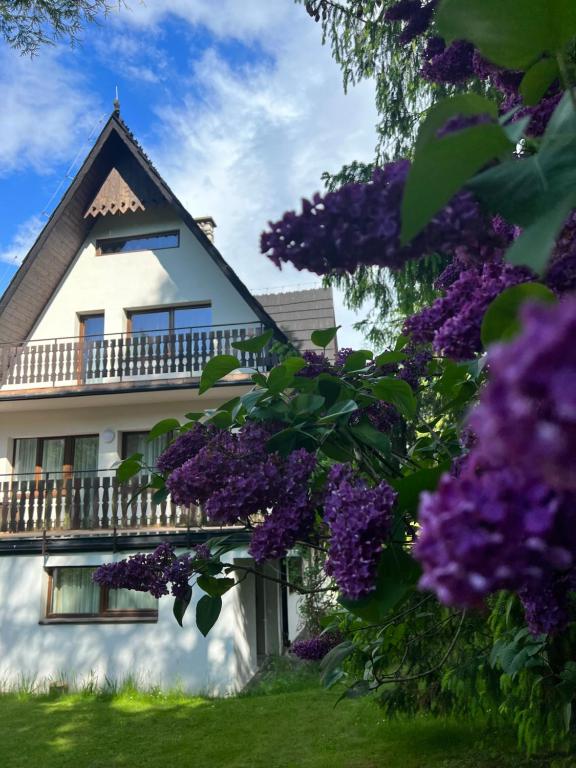 ザコパネにあるWilla Popielicaの紫の花の家