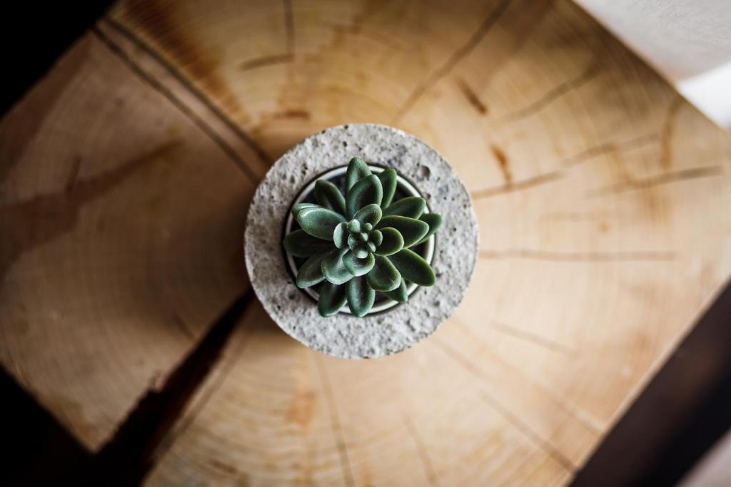 Fotografie z fotogalerie ubytování Quattro Loft Hostel v Gdaňsku