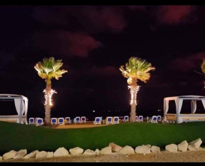 a group of palm trees and chairs at night at شاليه بورتوسعيد in Port Said