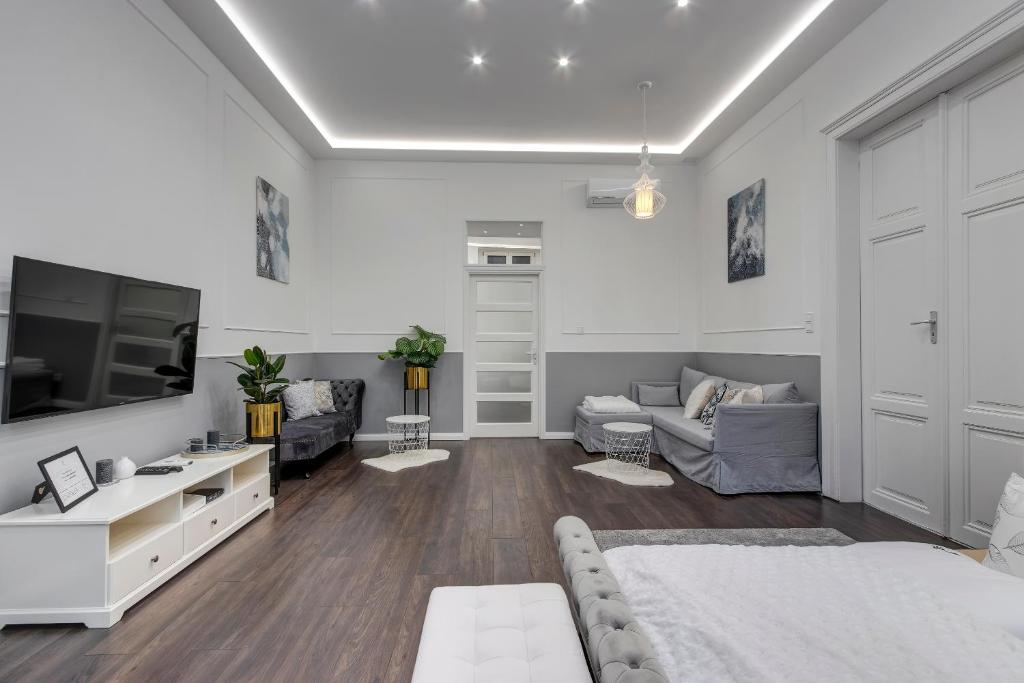 TV a/nebo společenská místnost v ubytování Semmelweis Apartment