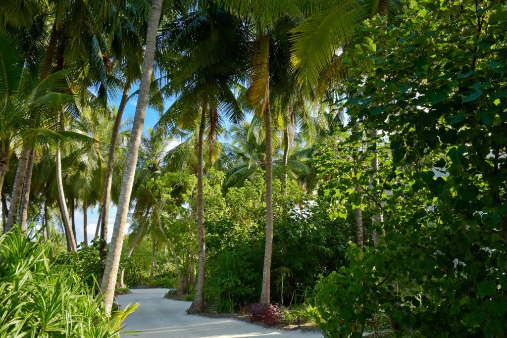 Zahrada ubytování Kandima Maldives - 50 Percent Off on Return Domestic Flight Transfers on stays 4 nights or more between 01 Apr & 10 Oct 2025