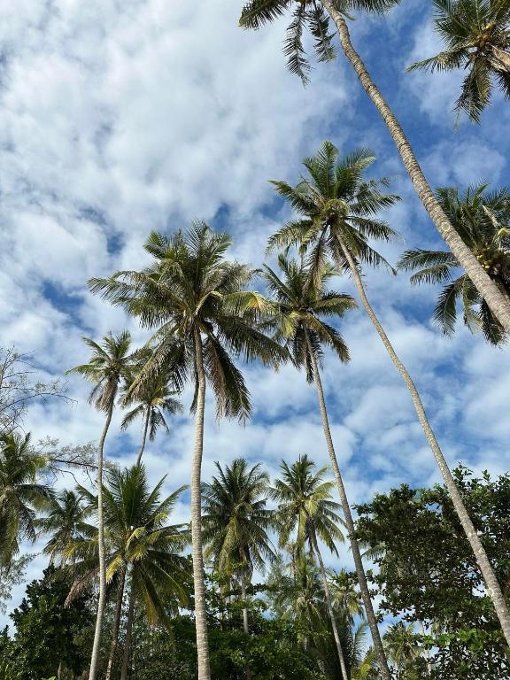 Fotografie z fotogalerie ubytování Seacret KohKood เกาะกูด v destinaci Ban Lak Uan