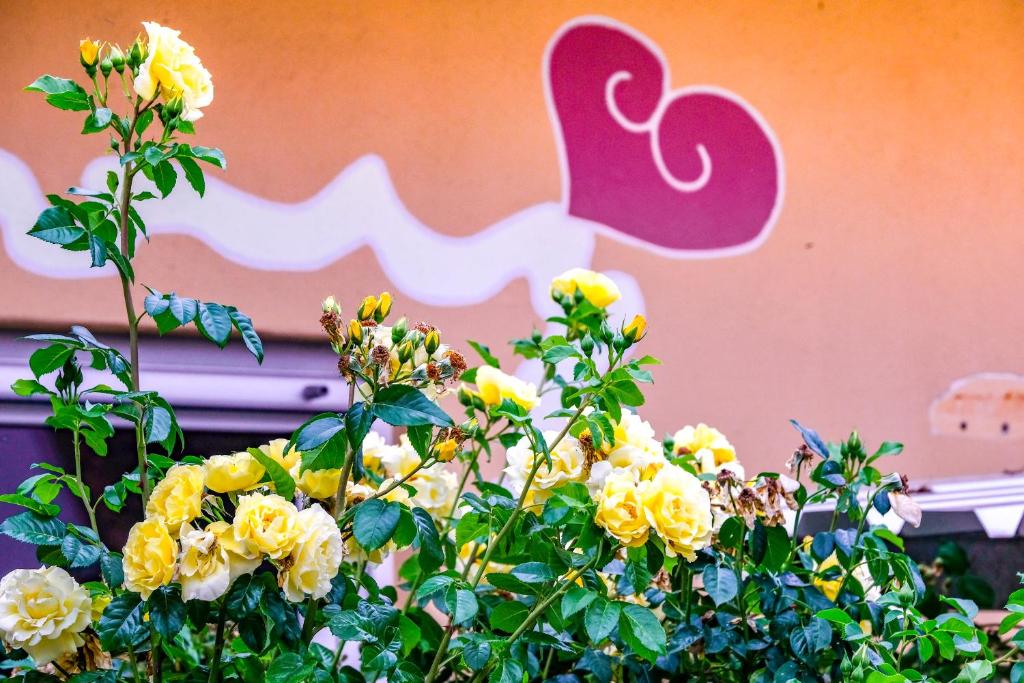 une brousse avec des fleurs jaunes devant un mur dans l'établissement Zum Engelreich ruhig, ländlich, stadtnah, à Munich