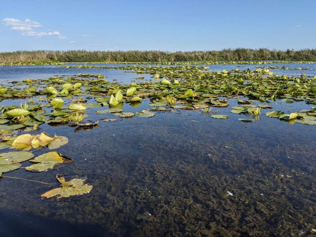 Příroda nedaleko ubytování na lodi