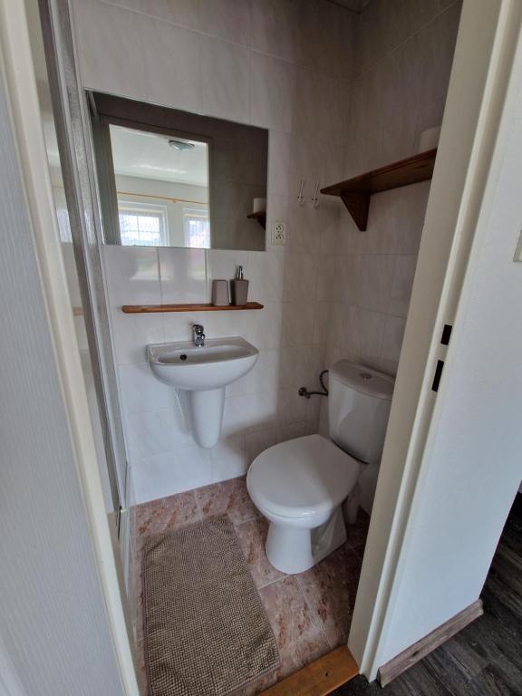 a bathroom with a toilet and a sink at Pension MAX in Pernink