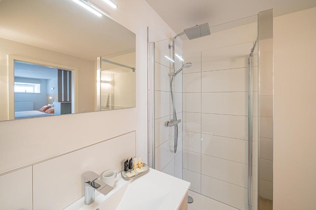 Koupelna v ubytování B&B - La Maison des Sottais