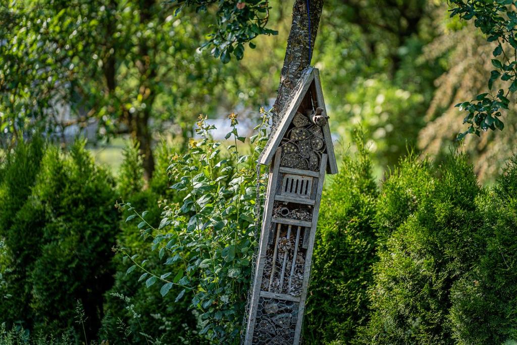 Zahrada ubytování B&B - La Maison des Sottais