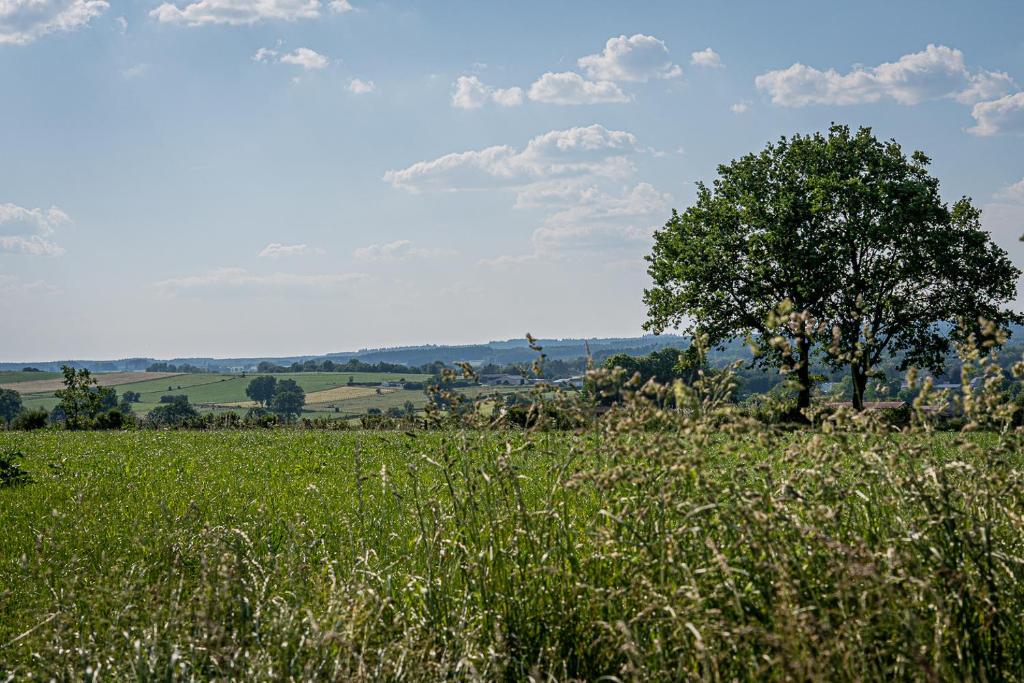 Příroda nedaleko bed and breakfast