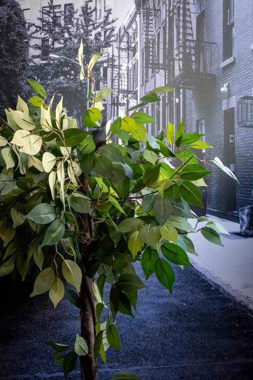 Vonkajšia záhrada v ubytovaní Superbe appartement avec Patio
