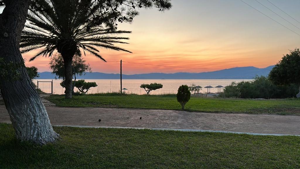 a sunset over the water with a palm tree at Bouros Seaview Farm in Karistos