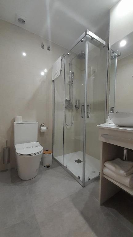 a bathroom with a shower and a toilet and a sink at Olivae Hostal Boutique in Cáceres