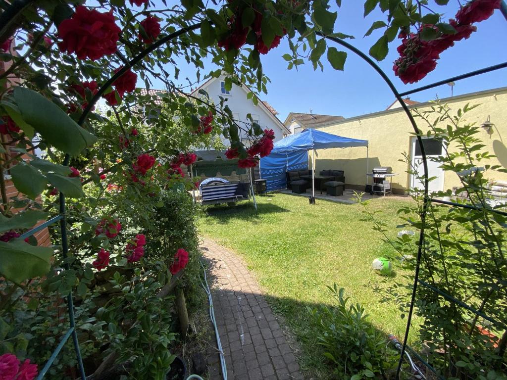 a garden with a blue tent and some roses at Frankfurt Close Apartment in Hainburg