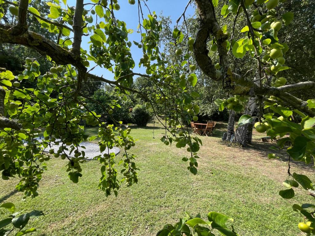 Vonkajšia záhrada v ubytovaní Gîte des Gâtines 3 étoiles