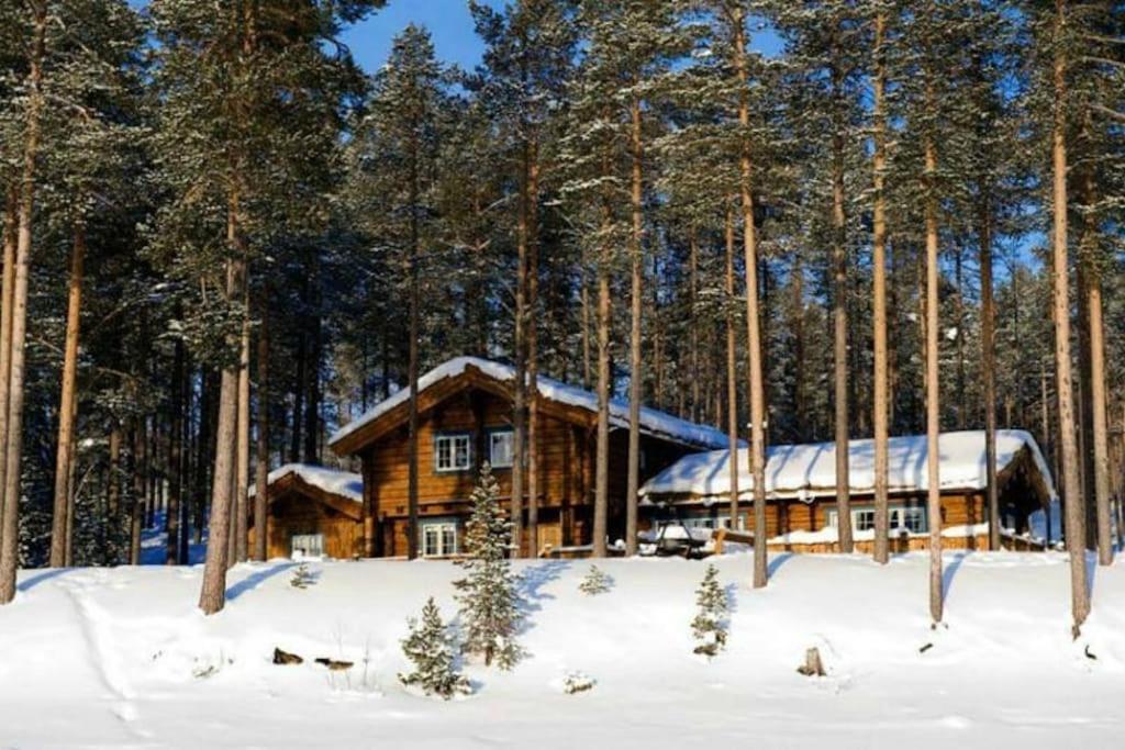 een blokhut in het bos in de sneeuw bij Lyxigt timmerhus i fjällen, Lofsdalen, Hjortehytta in Lofsdalen