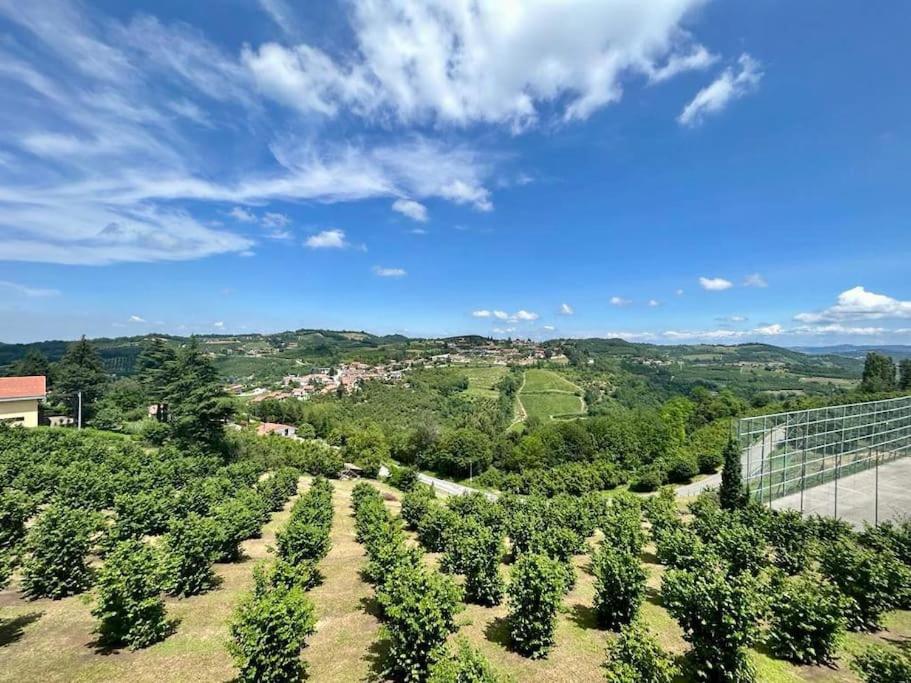 an aerial view of a plantation of trees at Al Belvedere vista Langhe in Benevello