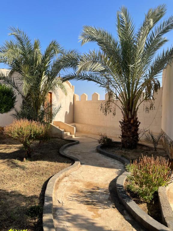 Zahrada ubytování Moon_Valley_Siwa
