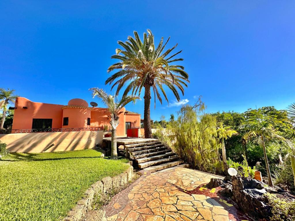 a palm tree in front of a house at Tropical Garden Finca in Guía de Isora