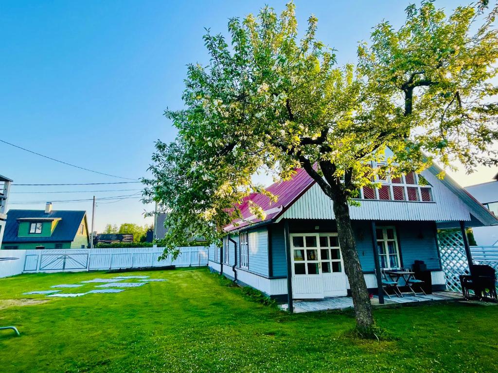 ein blaues Haus mit einem Baum im Hof in der Unterkunft Villa Blue Heaven Pärnu in Pärnu