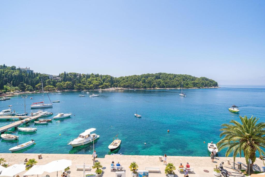 a view of a harbor with boats in the water at Apartments Villa Royale in Cavtat