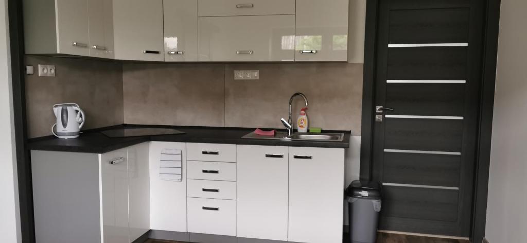 Kuchyň nebo kuchyňský kout v ubytování Apartmány Pavlík