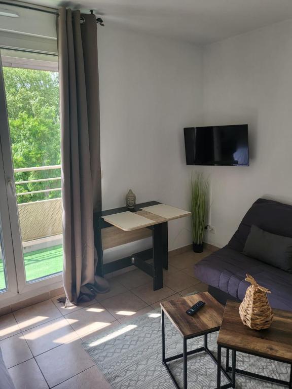 C301 Appartement Proche DisneyLand Paris - 8