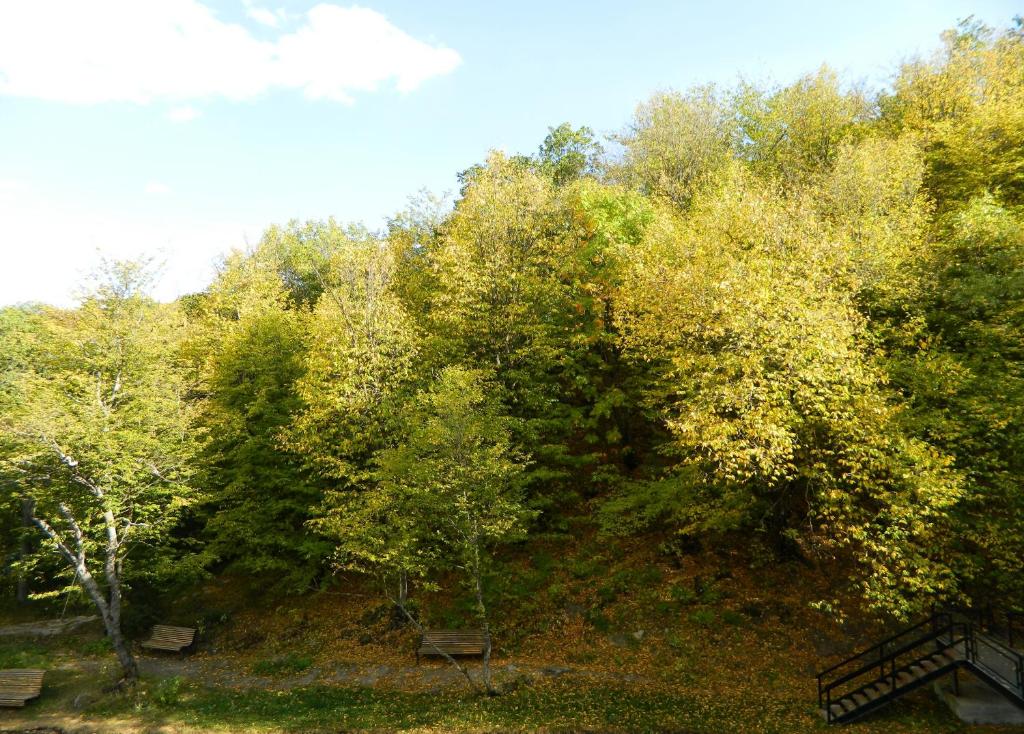 Příroda nedaleko hotelu