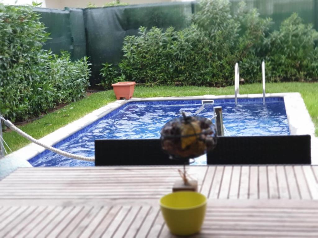 a swimming pool with a plant sitting on a wooden table at Villa Sidi Rahal Casablanca in Sidi Rahal