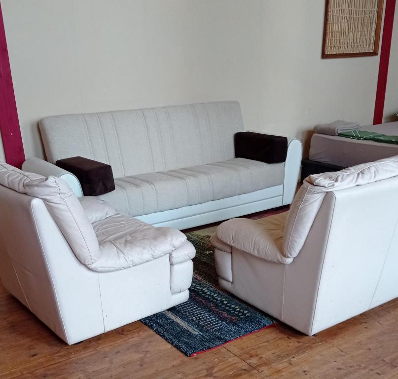 sala de estar con sofá y 2 sillas en Loftwohnung im Rotweinland en Raiding