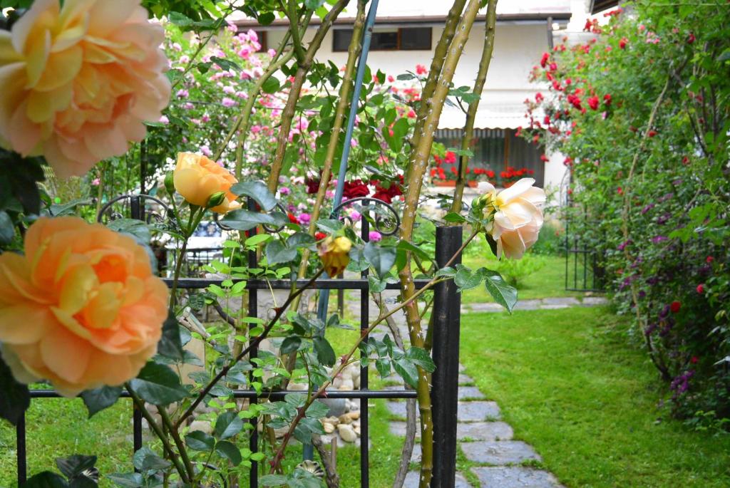 Zahrada ubytování Residenza Dutzu-Boutique Hotel