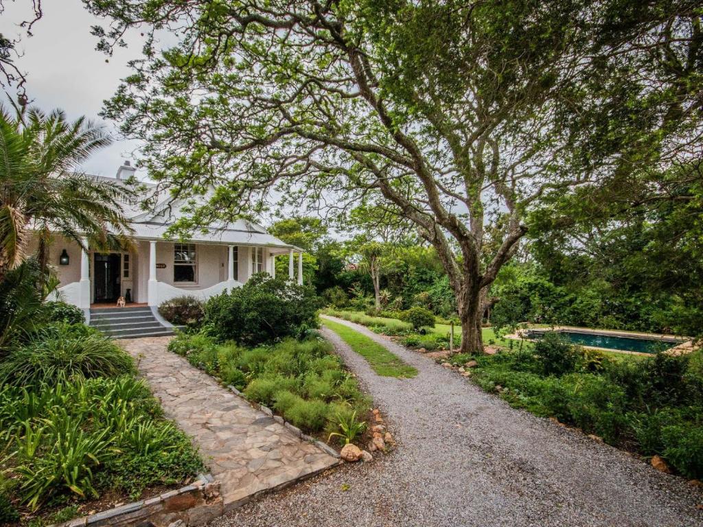 a house with a tree and a gravel driveway at Mimosa in Grahamstown