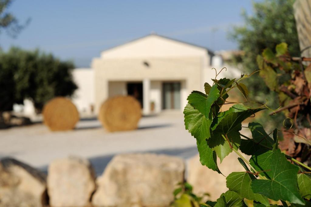a close up of a plant with a house in the background at Riofavara Winery in Ispica