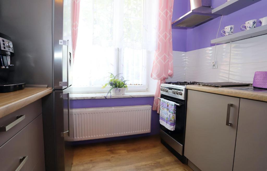 Kuchyňa alebo kuchynka v ubytovaní Apartament Lawendowy