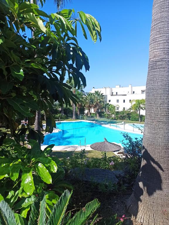 a swimming pool with an umbrella and trees at Beach Apartment Puerto Banus Marbella in Estepona