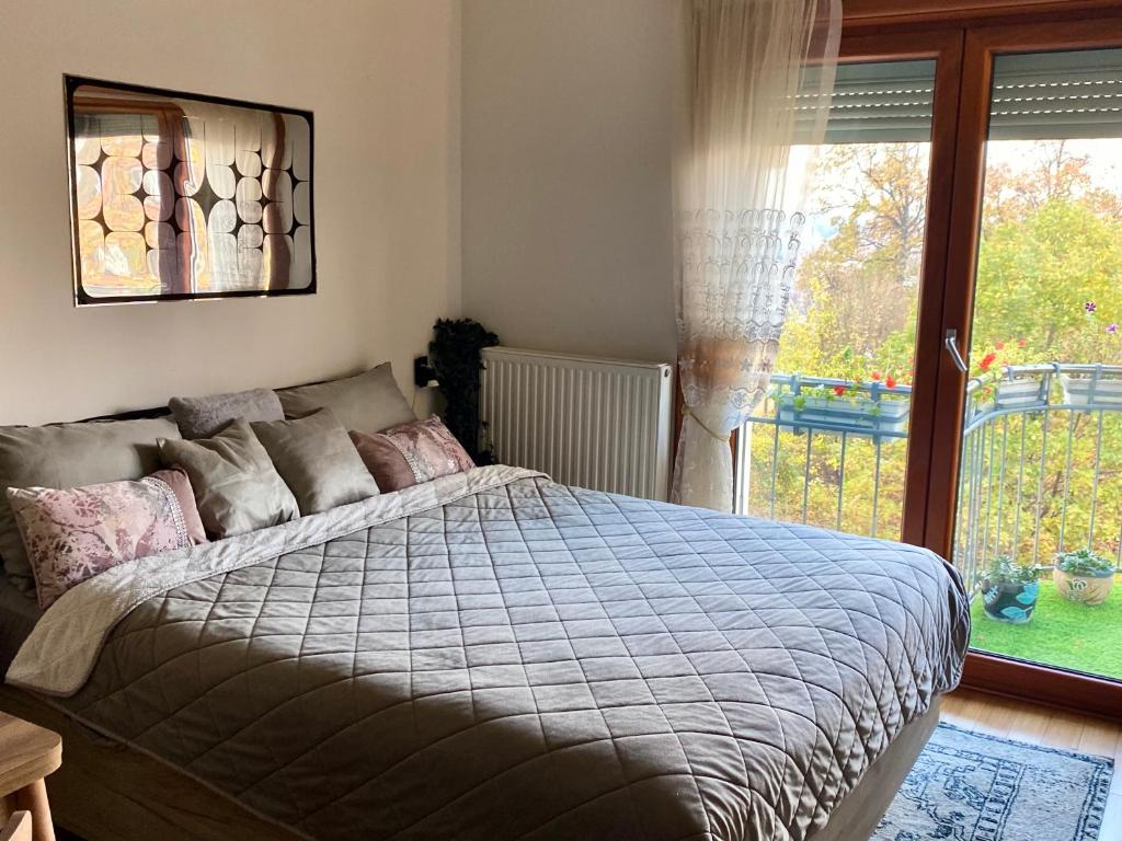 ein Schlafzimmer mit einem Bett und einem großen Fenster in der Unterkunft Studio Ivy in Vrnjačka Banja