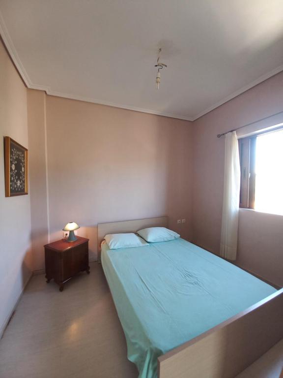 Arjana & Nelaj Apartments - Imazhi 12