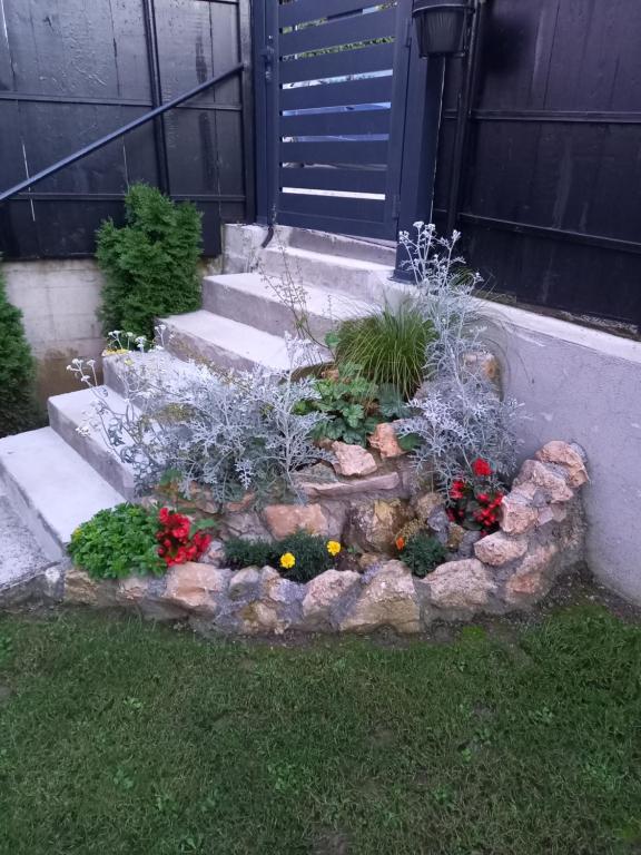 a garden with flowers in front of a house at Studio Biki in Banja Koviljača