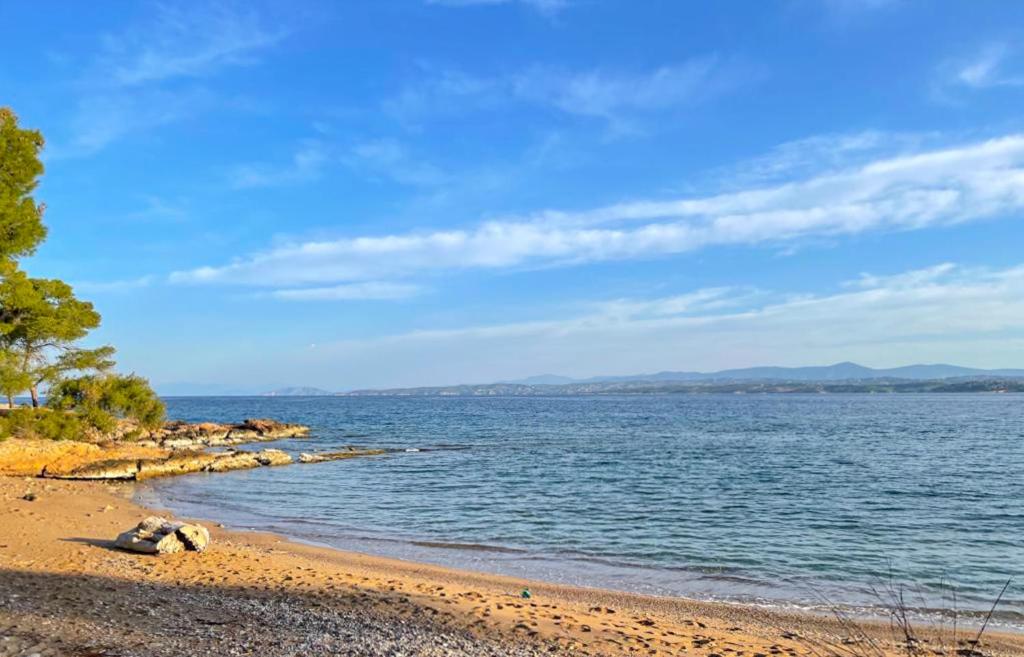 a beach with rocks and water on a sunny day at Casa Bianca Elegant House Near Beach in Spetses