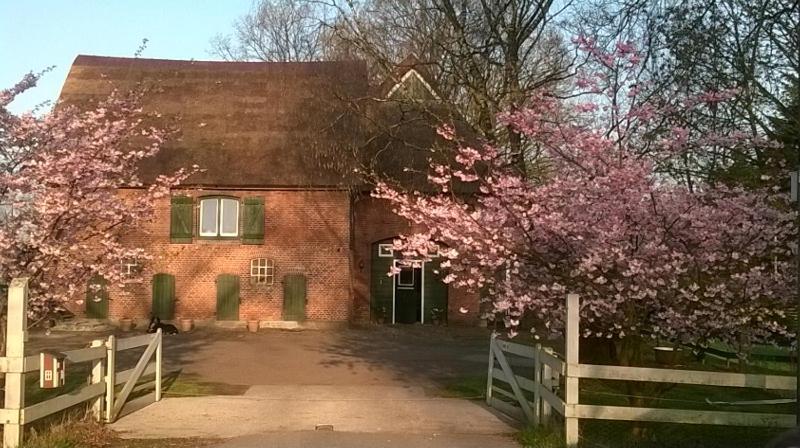 a brick building with a gate and a tree with pink flowers at Zum roten Gaul 