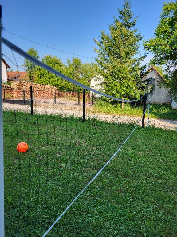 Tenis a/nebo squash v ubytování Apartment Dado nebo okolí