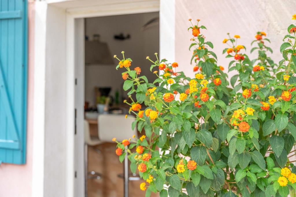 Zahrada ubytování La maison d'à côté