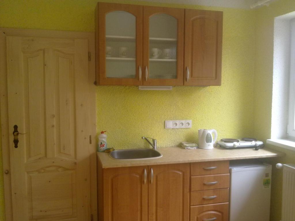 Kuchyň nebo kuchyňský kout v ubytování Penzion Apartmány Bečov